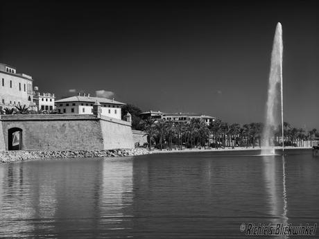 Richie´s Blick auf die Welt #schwarz/weiß #Fotografie #Bilder