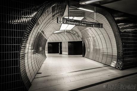 Richie´s Blick auf die Welt #schwarz/weiß #Fotografie #Bilder