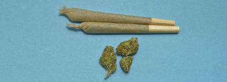 Kriminalbeamte fordern Ende des Cannabisverbots