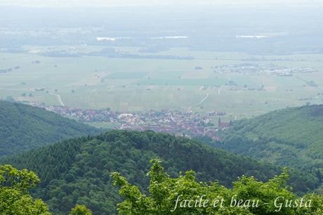 Aussicht von der Hohkönigsburg - Elsass