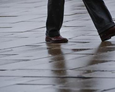 the.daily.pedestrian 38 | 365  one pic a day 2018