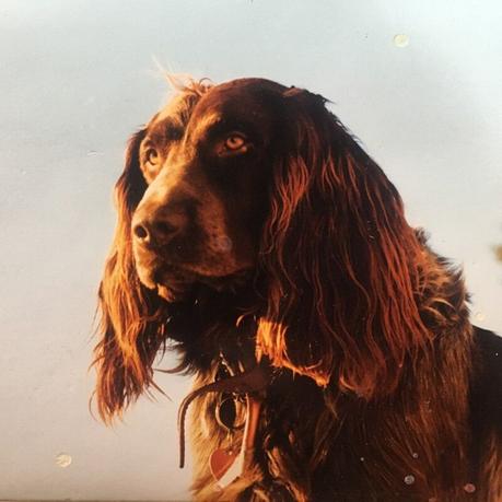 Peter Kernel: Die Vermessung der Nacht