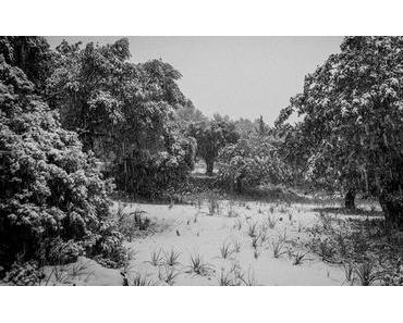 Reichlich Schneefall im Tramuntana-Gebirge