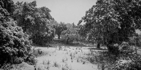 Foto: Alex Duran Photography