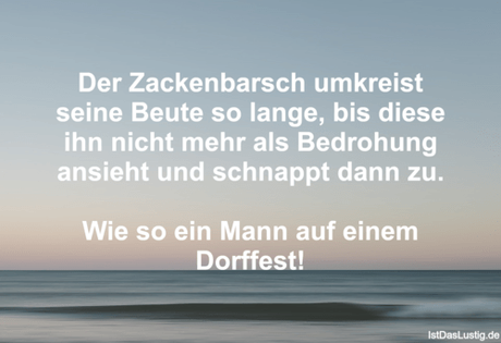 Lustiger BilderSpruch - Der Zackenbarsch umkreist seine Beute so lange,...