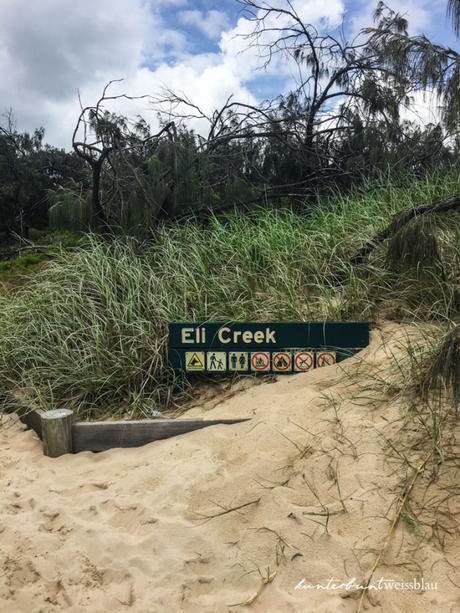 Ein Tag auf Fraser Island: Süßwasserseen, Inselflug und Regenwald