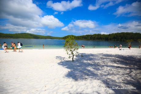 Ein Tag auf Fraser Island: Süßwasserseen, Inselflug und Regenwald