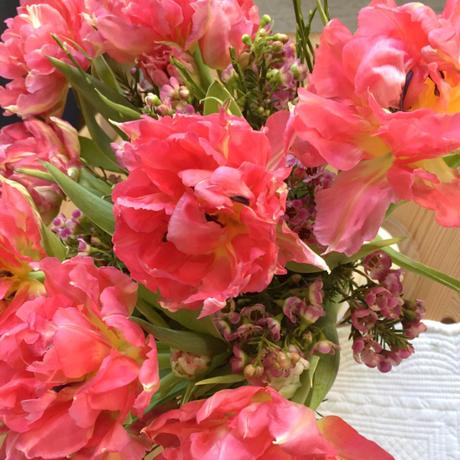 12 von 12 – oder – Ein Rosenmontag ohne Rosen, aber mit Tulpen und Schneeglöckchen