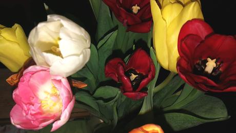 Foto: Tulpen zum Valentinstag