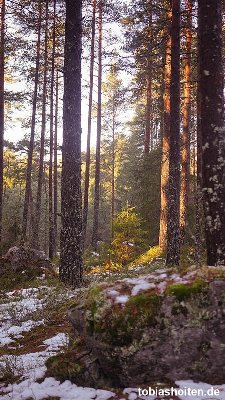 Der ultimative Helsinki Guide – Teil 5: Wandern im Nationalpark