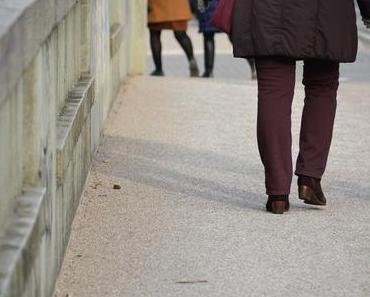 the.daily.pedestrian 51 | 365  one pic a day 2018