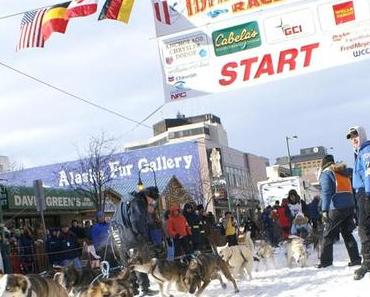 Neun Tage durch die eisige Tundra - Iditarod! Das härteste Hundeschlittenrennen der Welt