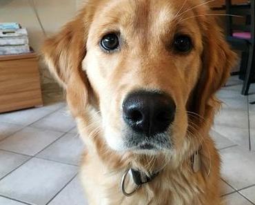 Von Stippvisiten in der Notaufnahme und Frühlingsbasteln {Wochenende in Bildern}