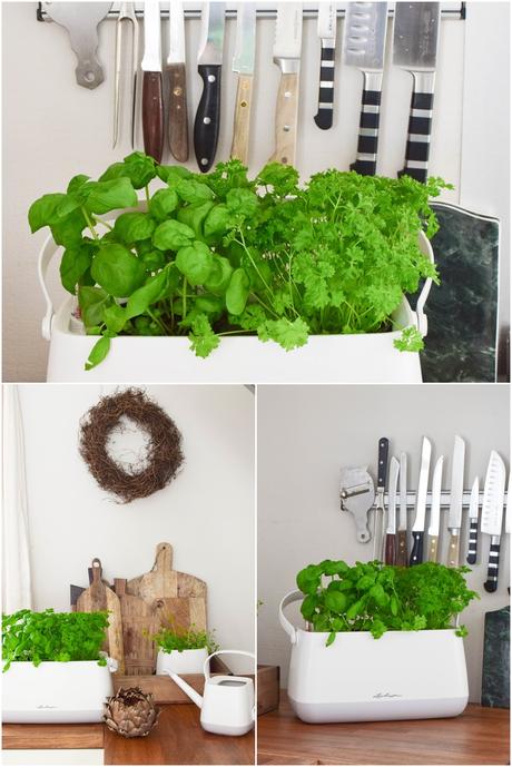 Frühlingsdeko und das perfekte Bewässerungssystem für alle Zimmerpflanzen und Küchenkräuter: YULA von Lechuza. DIY Osterkorb. Werbung