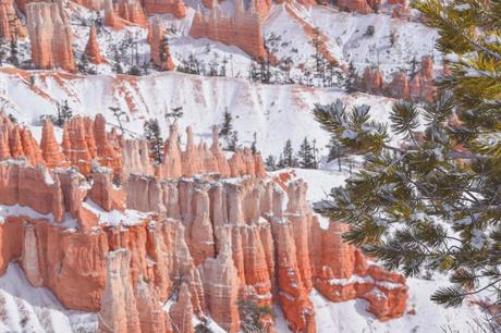 Bryce Canyon im Winter – einfach zauberhaft!