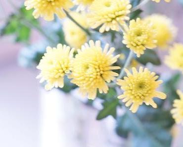 wallpaper-1689754