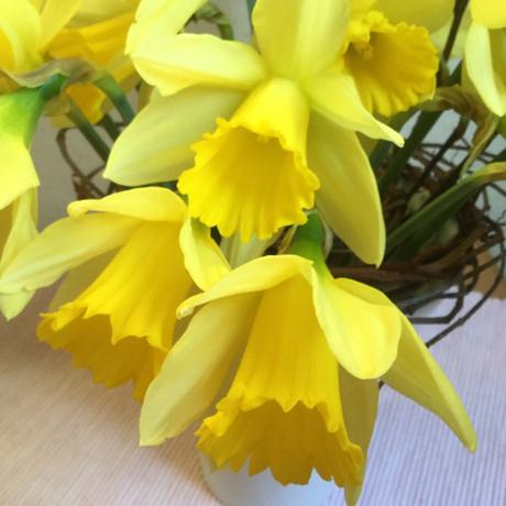 Friday-Flowerday – oder – Frühling! Jetzt?
