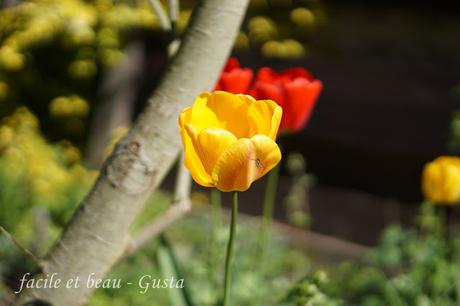 Foto-Experiment Free-Lensing