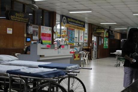 Ein Hundebiss in Thailand