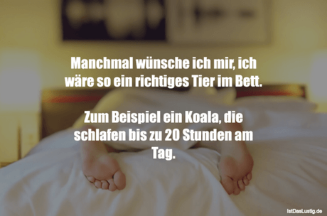 Lustiger BilderSpruch - Manchmal wünsche ich mir, ich wäre so ein...