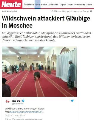 Schwein entweiht Moschee