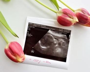 Schwangerschaft #3 (24 - 32 Woche)