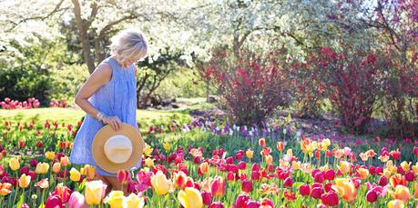 Bienenweide Garten Bienenfreundlich Gestalten