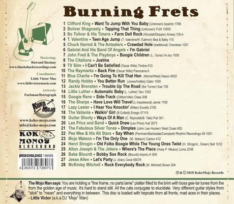 Burning Frets – The Rhythm, The Blues, The Hot Guitar (Compilation)
