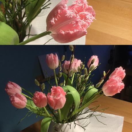 Friday-Flowerday – oder – Von (Papageien)-Tulpen und Weiden-(Kätzchen)