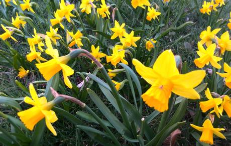 Foto: Zeit für den Frühling