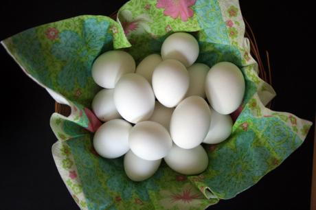 Verrückt: Keiner will Ostereier von Käfig-Hühnern, aber wir kaufen sie trotzdem