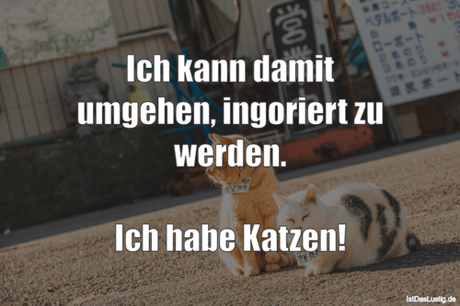 Lustiger BilderSpruch - Ich kann damit umgehen, ingoriert zu werden....