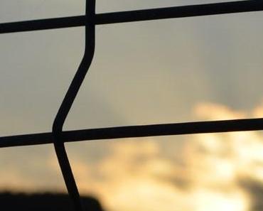 wallpaper-1689754