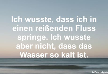 Lustiger BilderSpruch - Ich wusste, dass ich in einen reißenden Fluss...