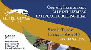 CACIL Coursing 1.5.2018 in Cavriana (Italien)