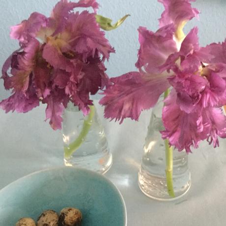 Friday-Flowerday – oder – „Lollorosso“-Tulpen oder doch lieber Osterglocken