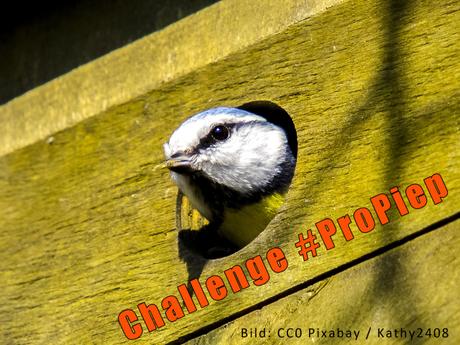 Challenge & Linkparty #ProPiep: Mein vogelfreundlicher Garten