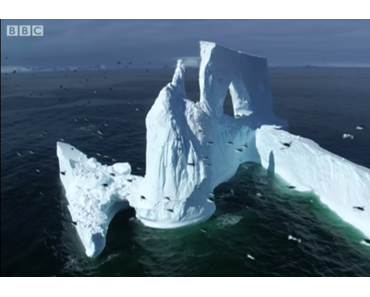 Pinguine können doch fliegen!