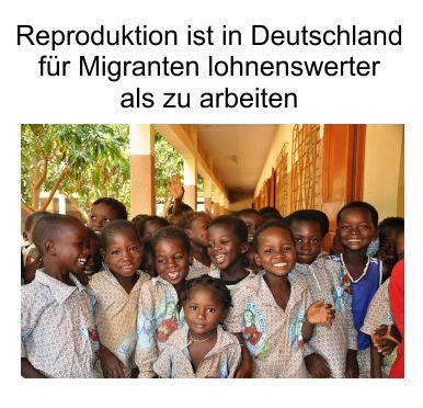 Die deutschen Sozialsysteme sind bei Masseneinwanderung nicht zeitgemäß und bedürfen dringend einer gründlichen Novellierung