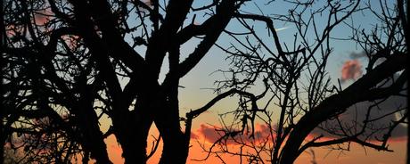 Kalenderblatt | 07.04.2018