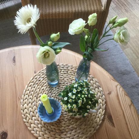 Friday-Flowerday – oder – Weiß, weiß, weiß sind alle meine Blumen…
