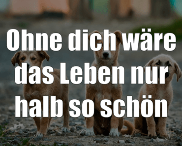 wallpaper-1689754