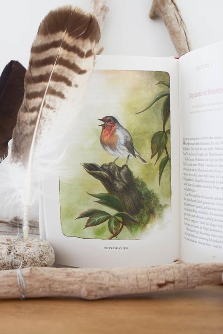 Lesetipp: Federnlesen - VomGlück Vögel zu beobachten. Das Buch für alle Vogelliebhaber und Gartenfreunde