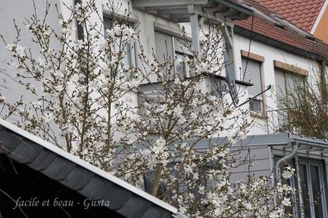 Frühling vor der Haustür Frühling vor der Haustür