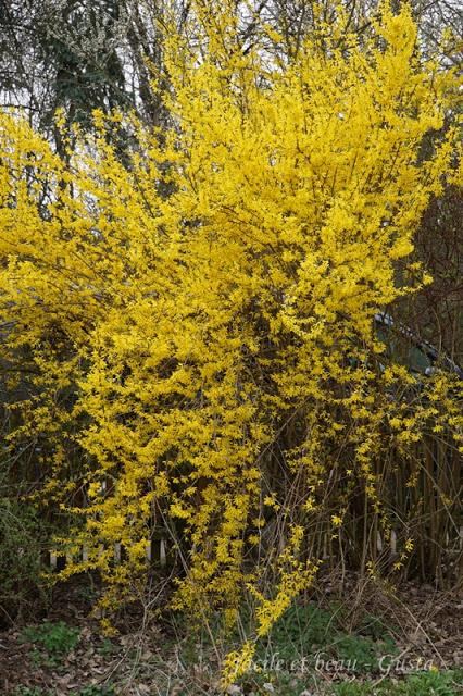 Frühling vor der Haustür Frühling vor der Haustür