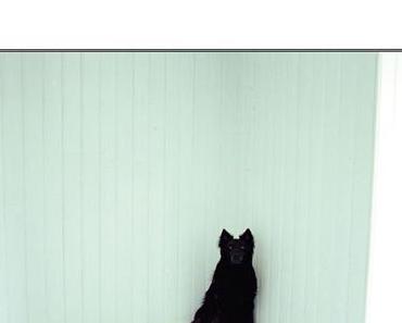 wallpaper-1689754