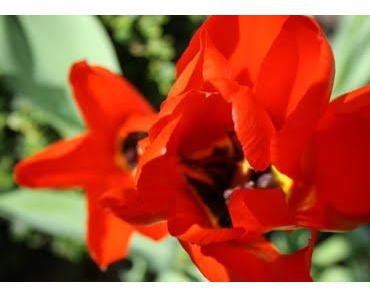 Nicht stehenbleiben!