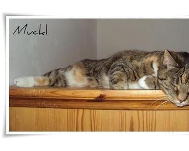 Muckl auf Beobachtungsposten ;-)