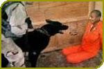 Wikileaks veröffentlicht Geheimdokumente über den rechtlosen US-Folterknast Guantanamo