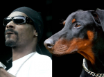 Verrückt: Tierische Star-Doubles - Snoop Dogg